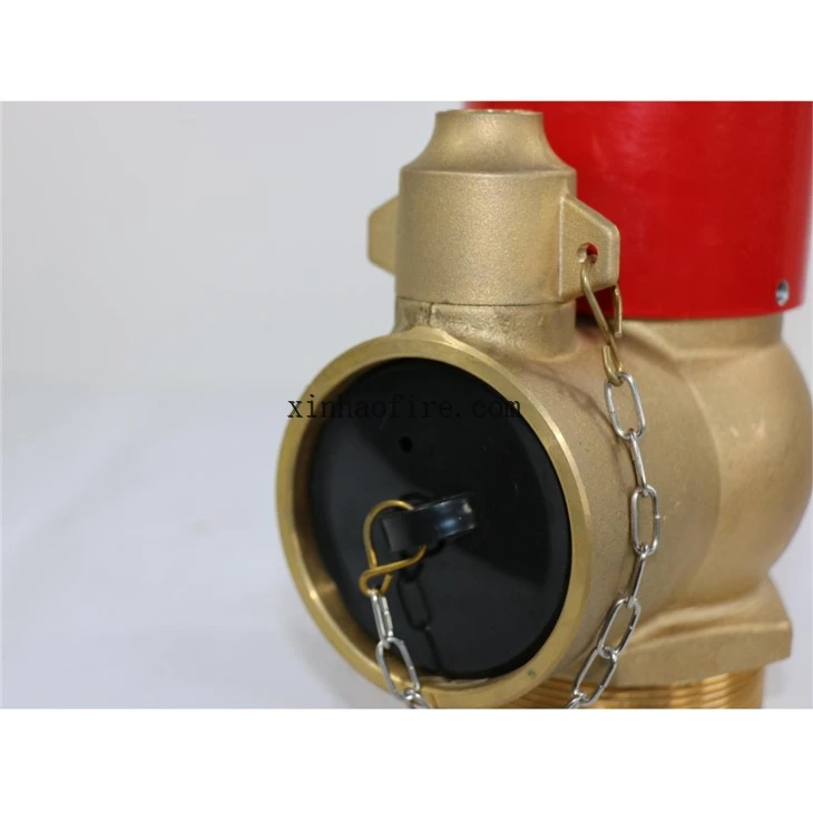 Tamper Proof Brass Hydrant