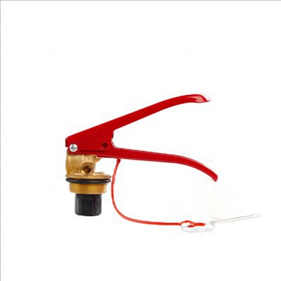 6kg Dry Chemical Powder Fire Extinguisher Vavle 6kg Dry Chemical Powder Fire Extinguisher Vavle